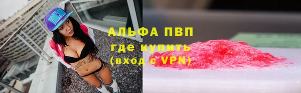 apvp Верея